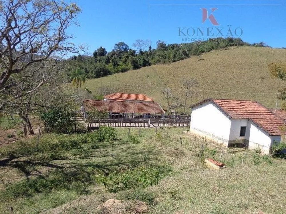 Fazenda, 305 hectares - Foto 9