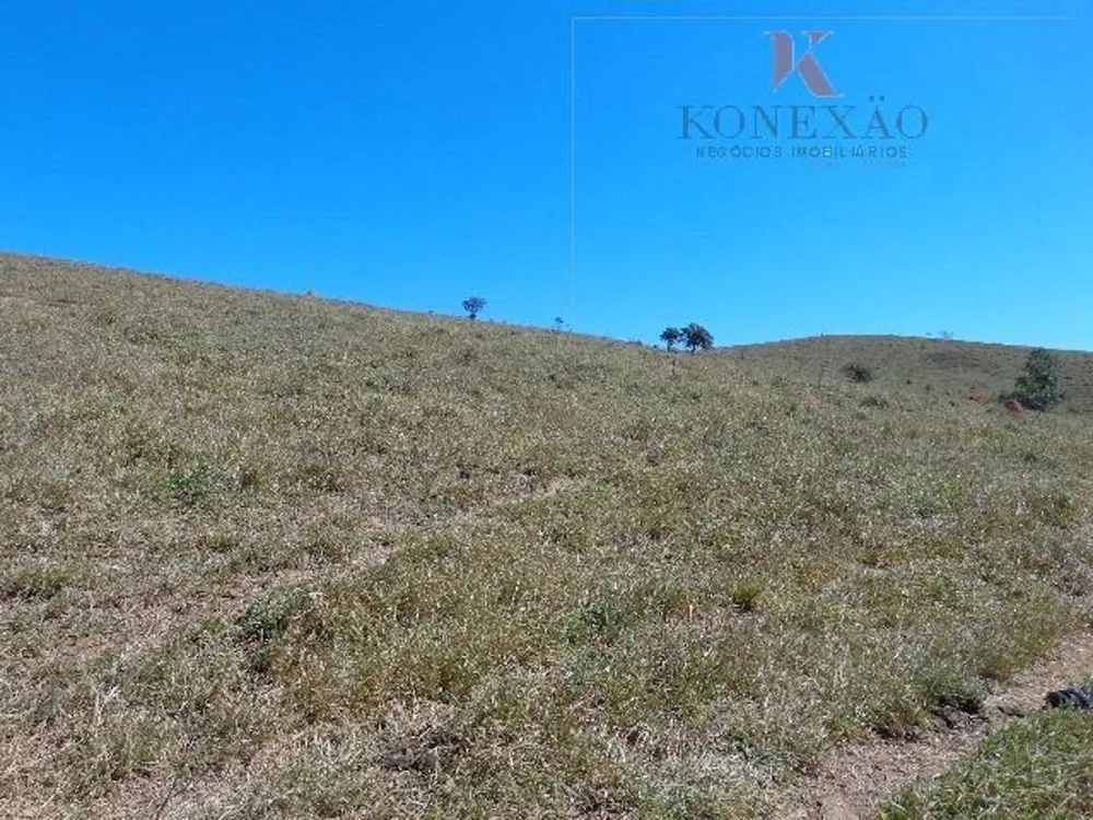 Fazenda, 305 hectares - Foto 11