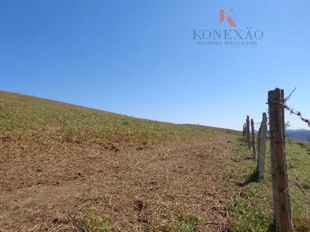 Fazenda, 305 hectares - Foto 3