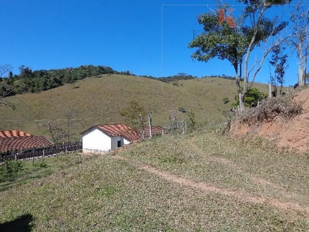 Fazenda, 305 hectares - Foto 13