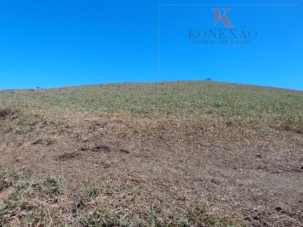 Fazenda, 305 hectares - Foto 2