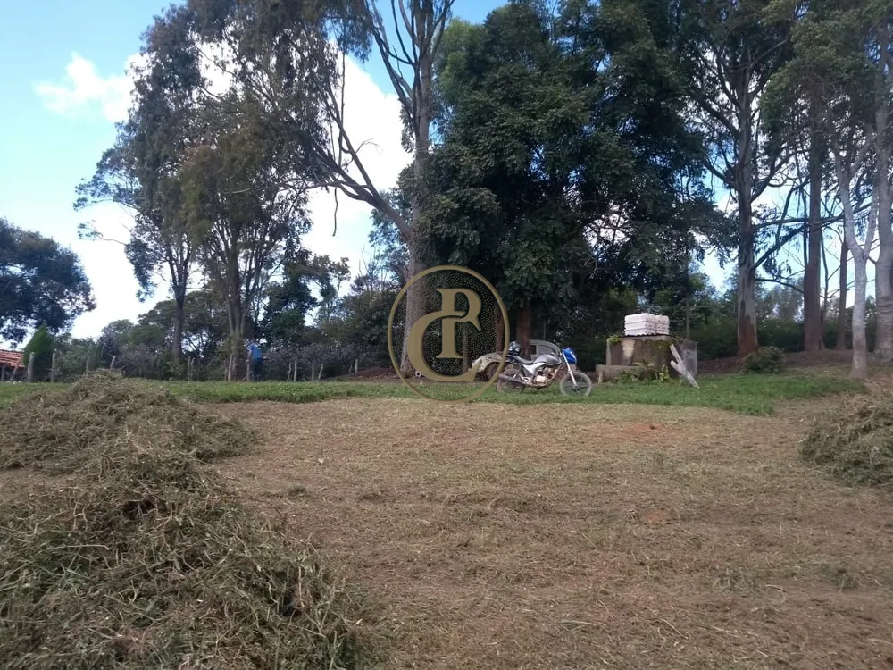 Fazenda, 200 m² - Foto 8