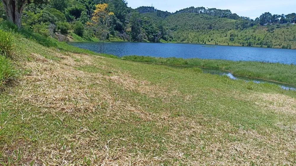 Chácara, 3 quartos, 3 hectares - Foto 12