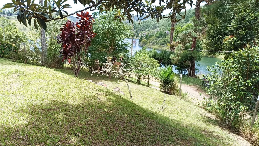 Chácara, 3 quartos, 3 hectares - Foto 11