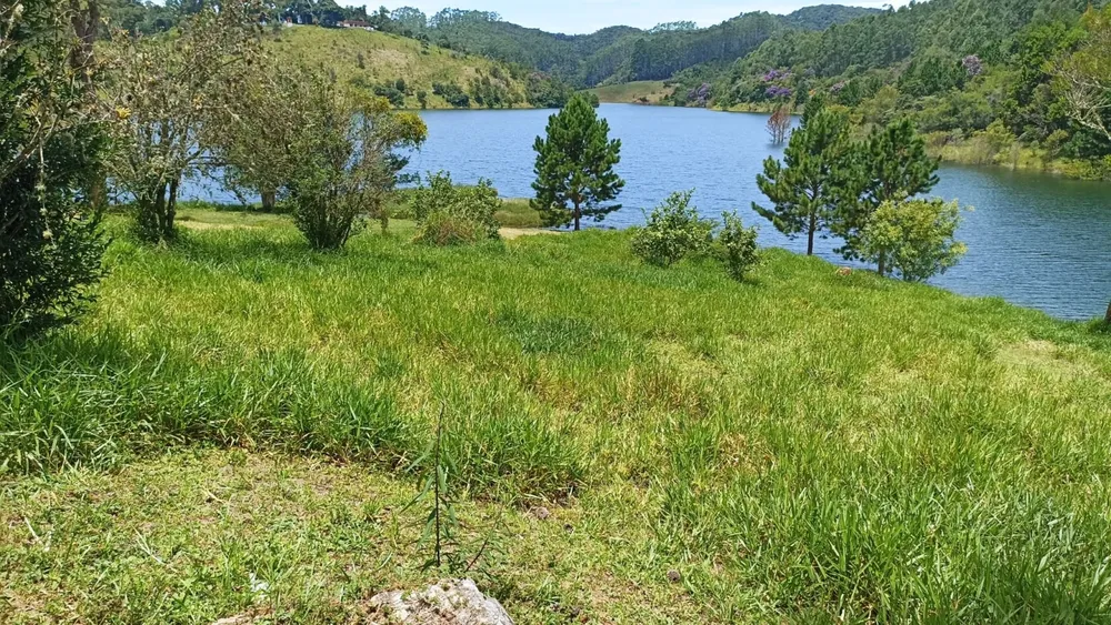 Chácara, 3 quartos, 3 hectares - Foto 9