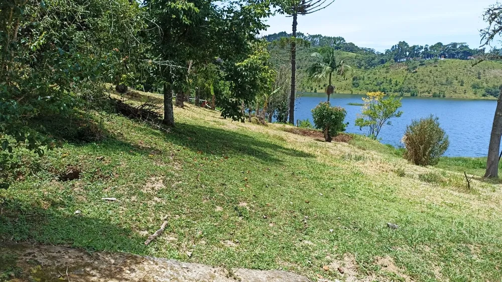 Chácara, 3 quartos, 3 hectares - Foto 8
