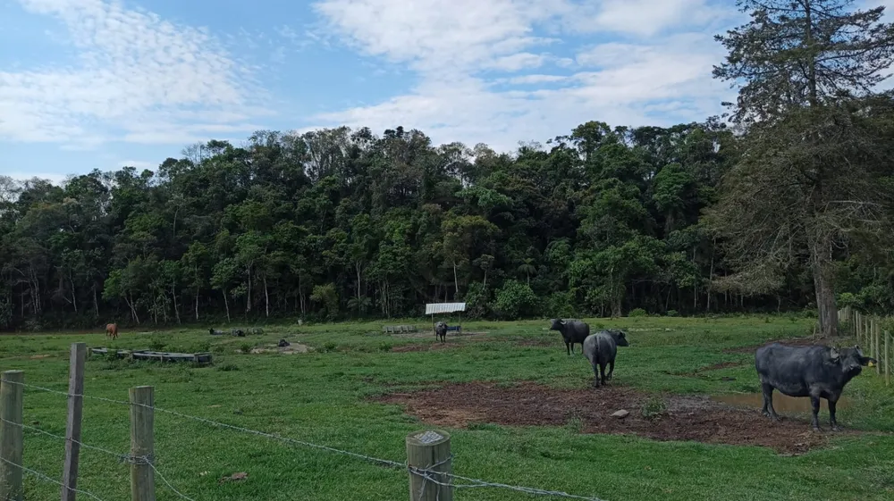 Fazenda, 240 m² - Foto 3