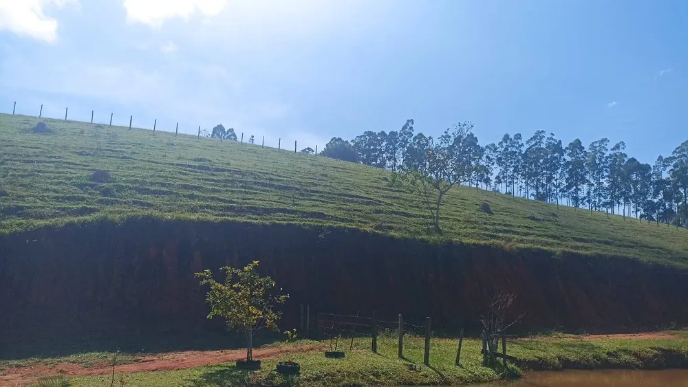 Sítio, 2 quartos, 300 m² - Foto 3