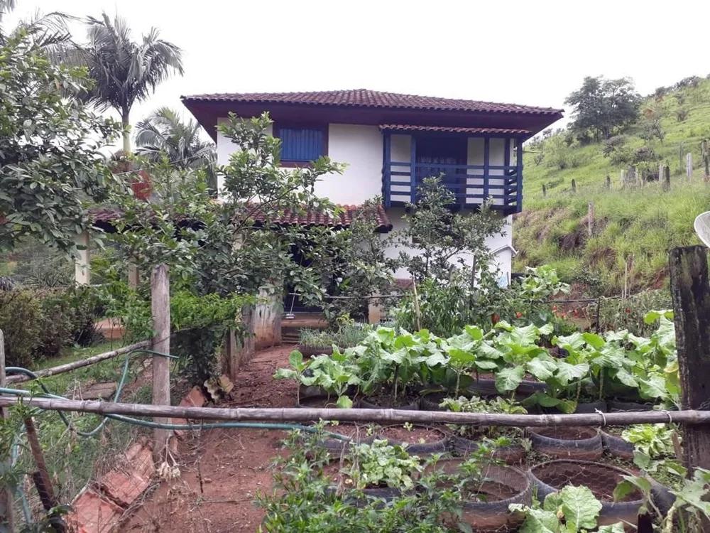 Sítio, 4 quartos, 600 m² - Foto 6
