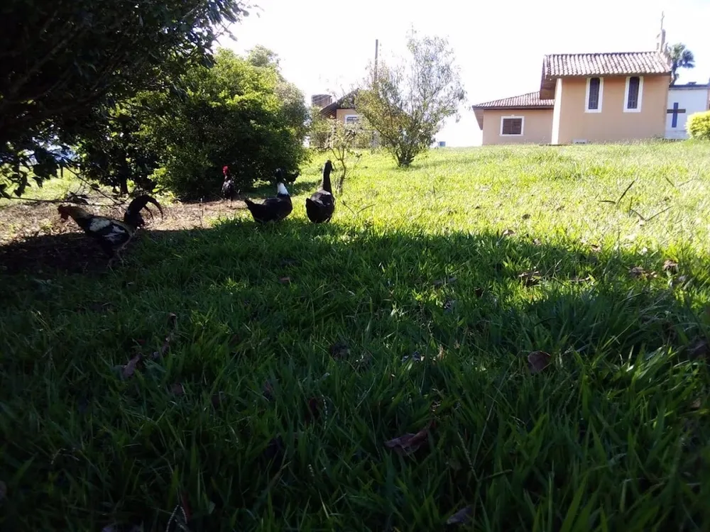 Sítio, 1 quarto, 150 m² - Foto 13