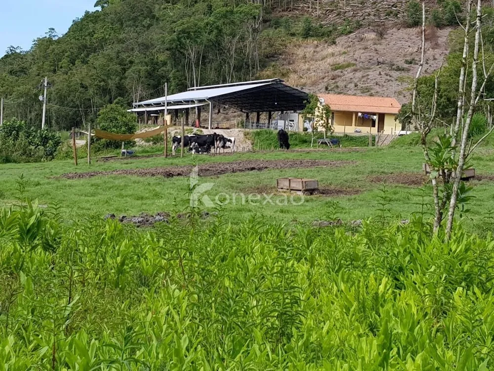 Fazenda, 120 m² - Foto 8