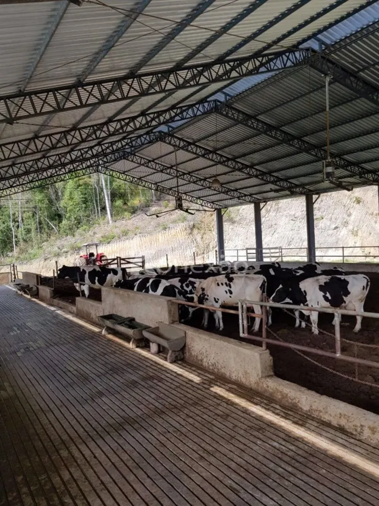 Fazenda, 120 m² - Foto 5