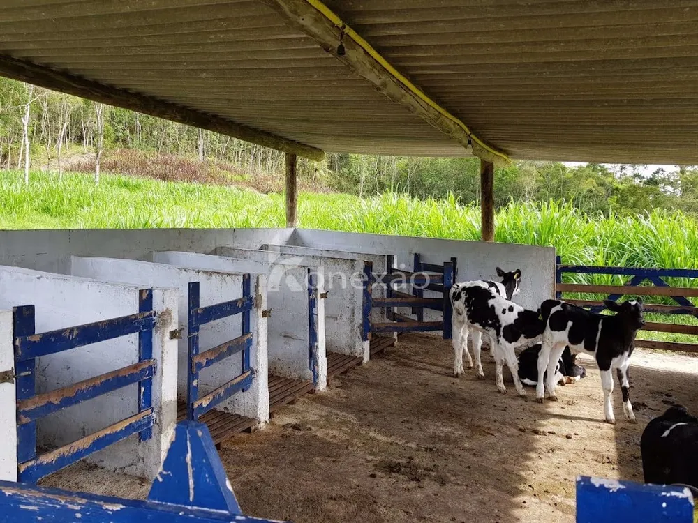 Fazenda, 120 m² - Foto 13