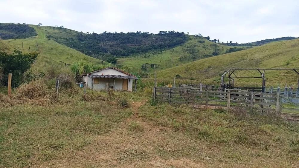 Fazenda, 114 hectares - Foto 5
