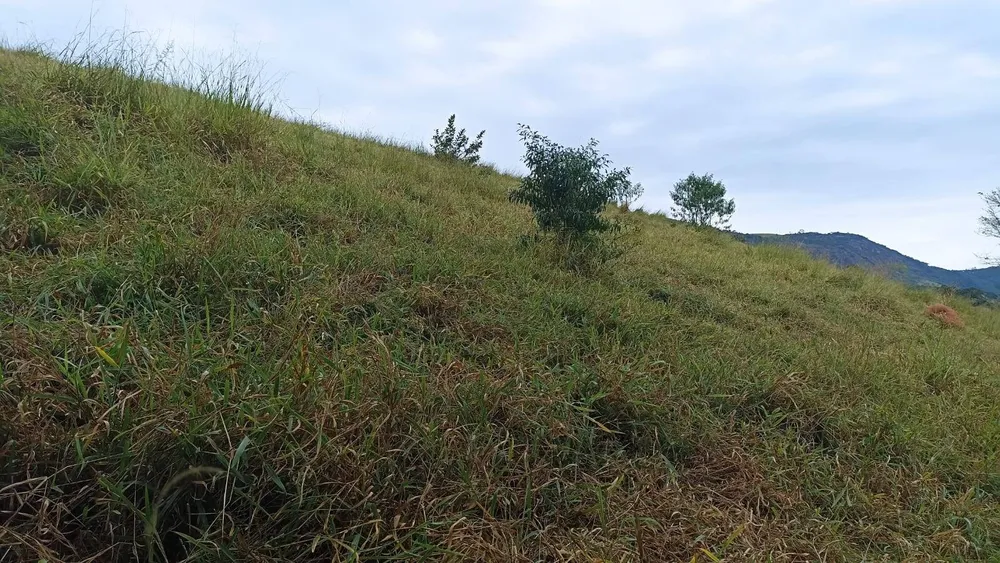 Fazenda, 114 hectares - Foto 3