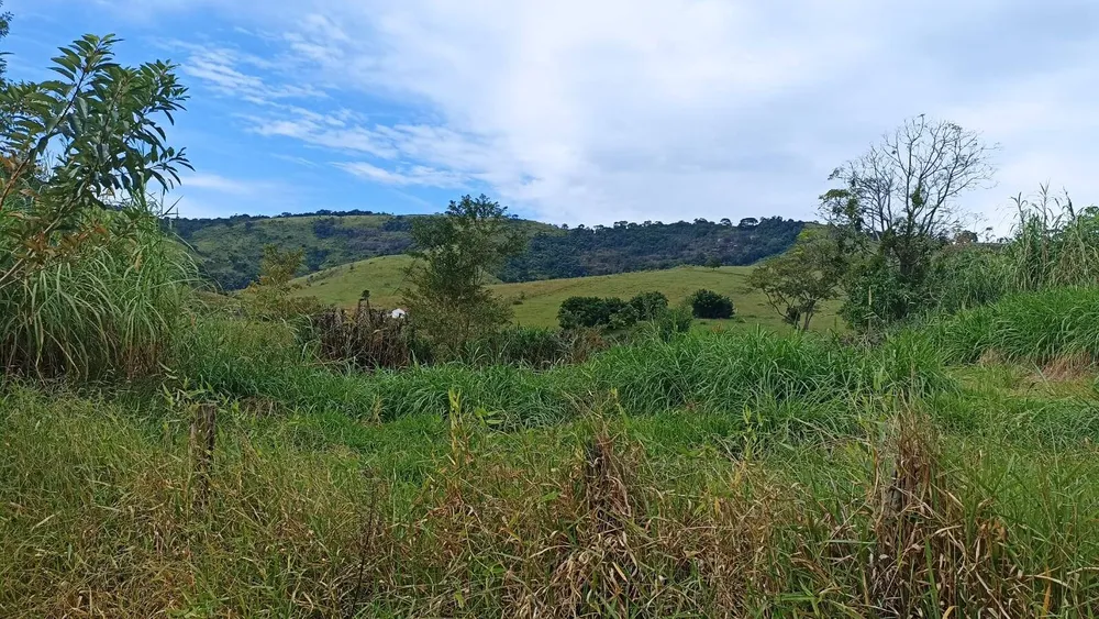 Fazenda, 114 hectares - Foto 7