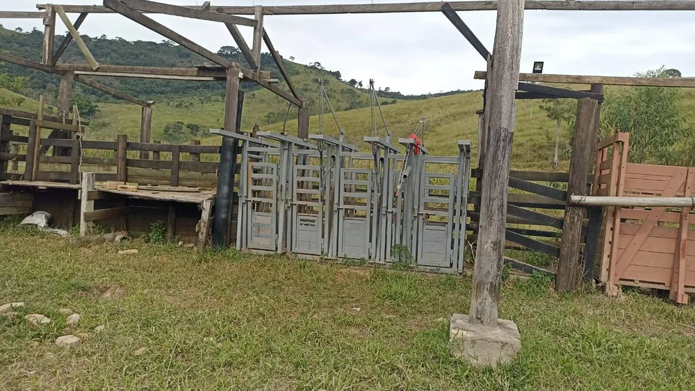 Fazenda, 114 hectares - Foto 8
