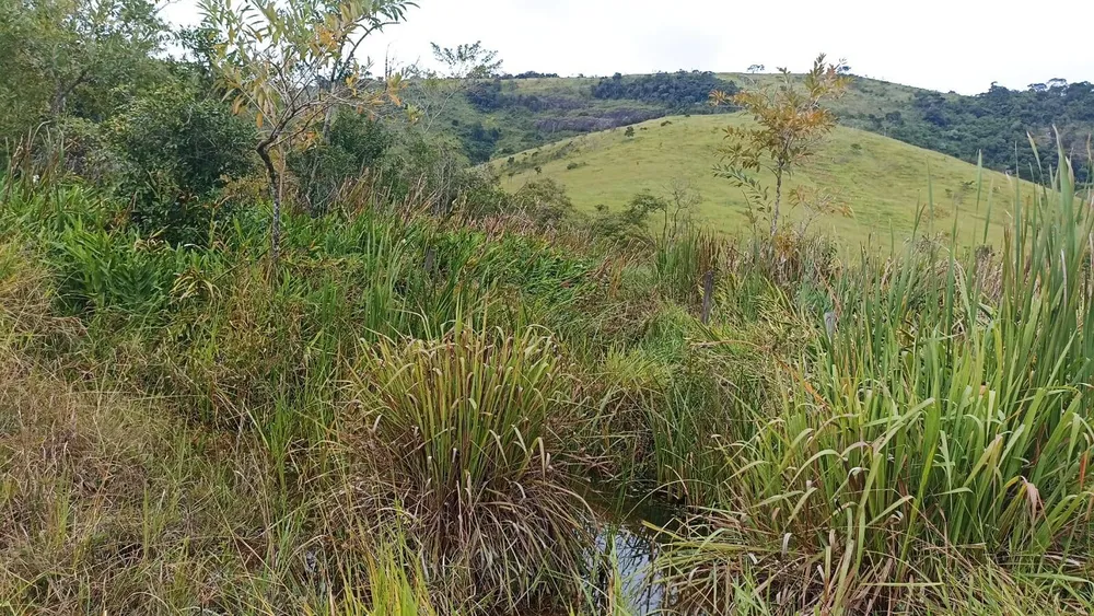 Fazenda, 114 hectares - Foto 6