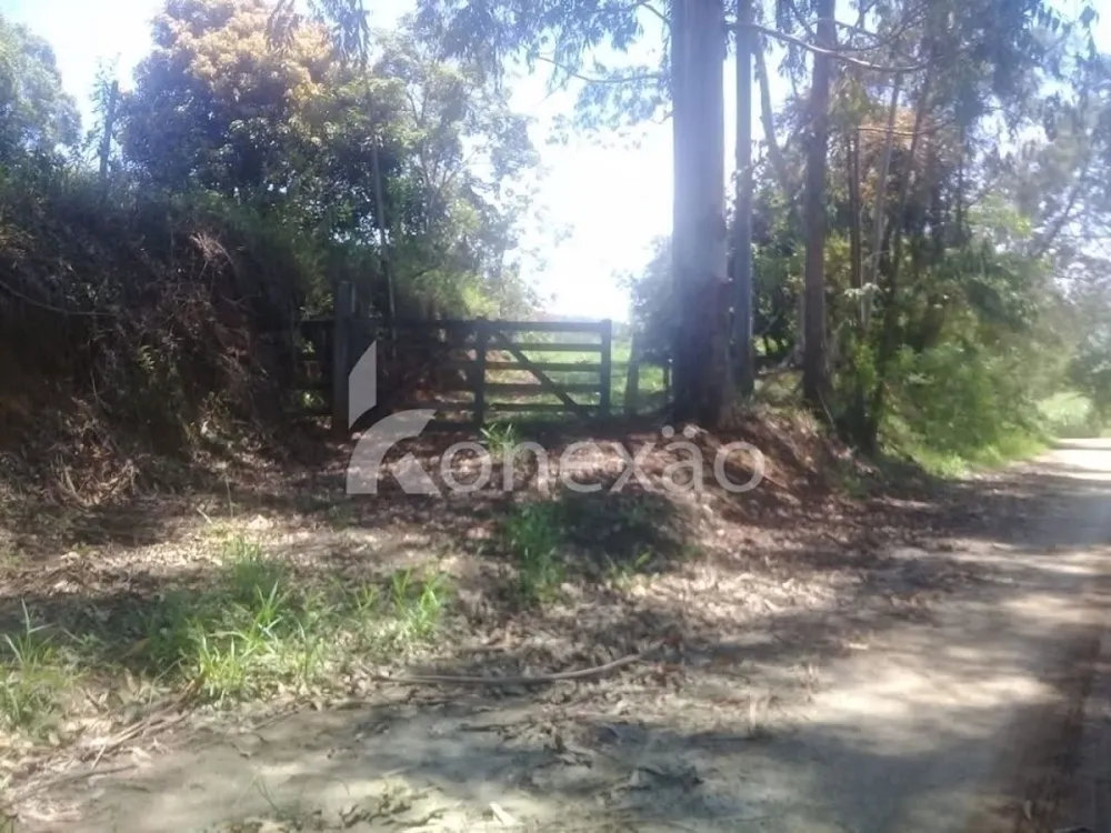 Fazenda, 200 m² - Foto 11