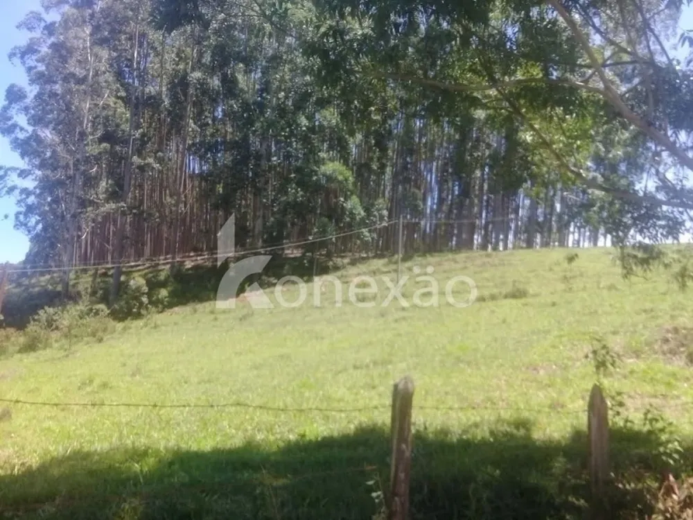 Fazenda, 200 m² - Foto 10