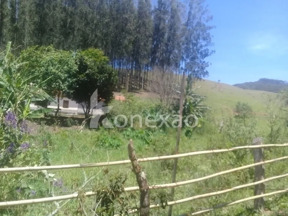 Fazenda, 200 m² - Foto 9
