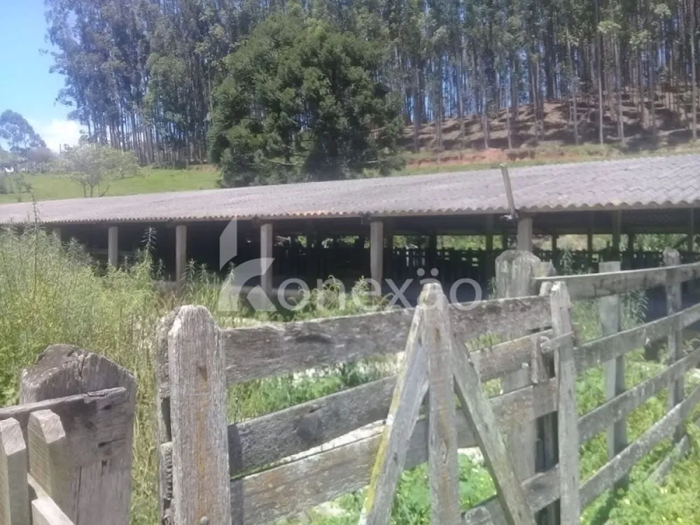 Fazenda, 200 m² - Foto 15