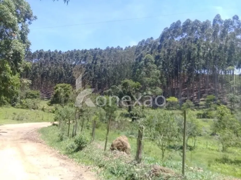 Fazenda, 200 m² - Foto 4