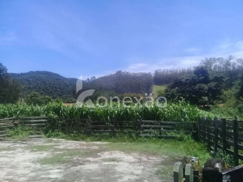 Fazenda, 200 m² - Foto 16