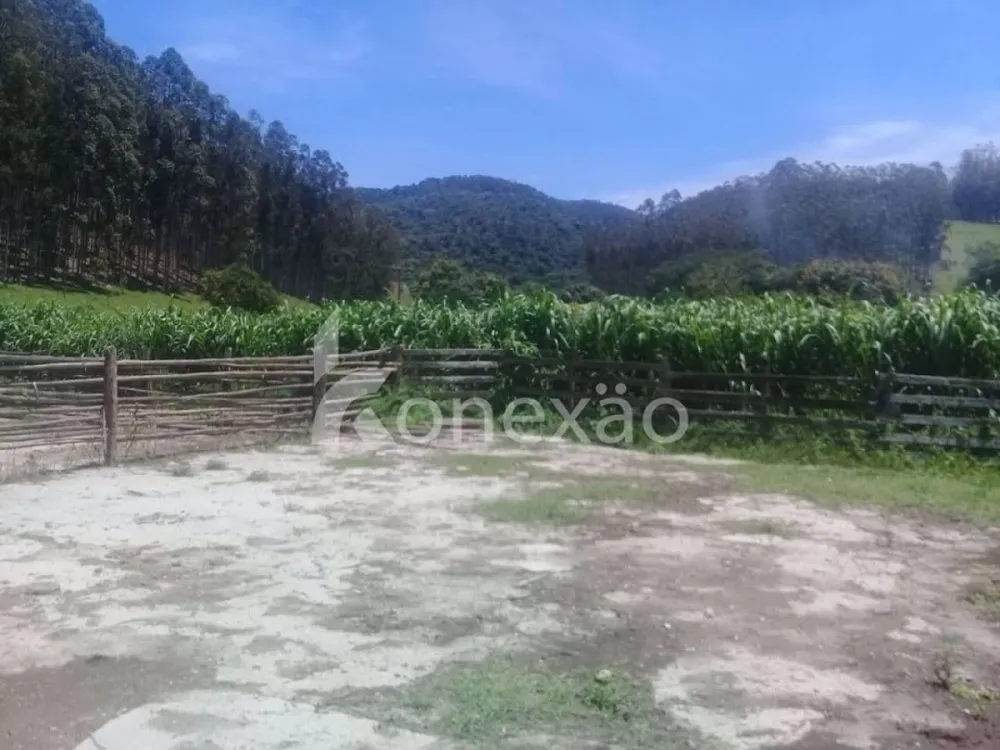 Fazenda, 200 m² - Foto 14