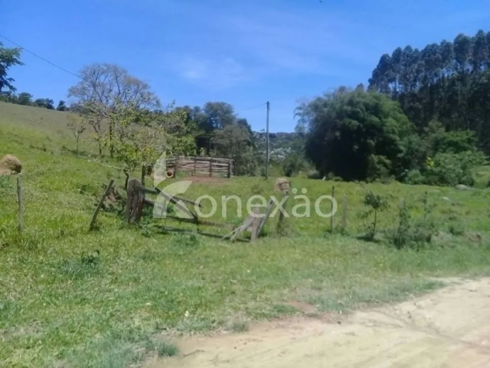 Fazenda, 200 m² - Foto 6
