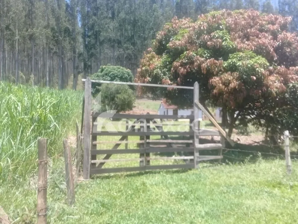 Fazenda, 200 m² - Foto 7