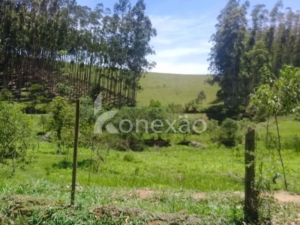 Fazenda, 200 m² - Foto 5