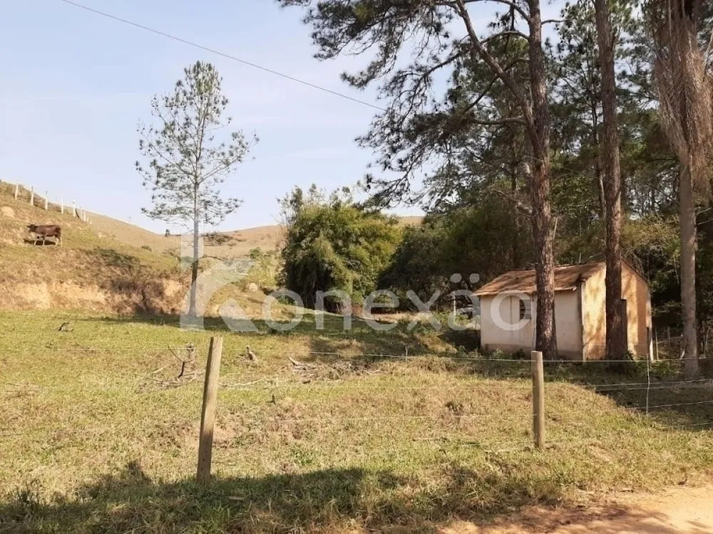 Sítio, 3 quartos, 200 m² - Foto 10