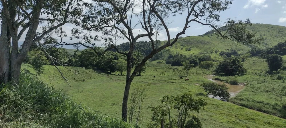 Fazenda, 150 m² - Foto 2