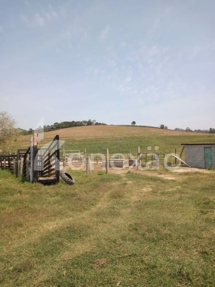 Sítio, 2 quartos, 200 m² - Foto 2