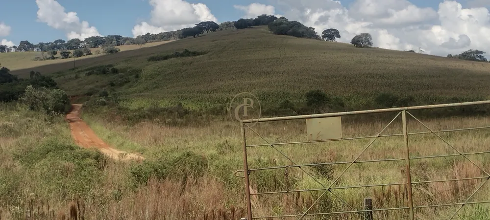 Fazenda, 100 m² - Foto 5