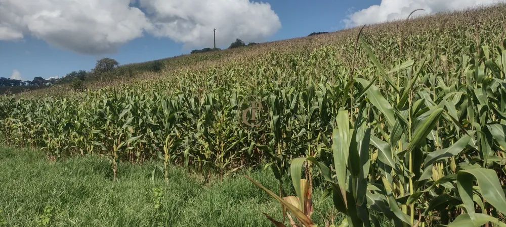Fazenda, 100 m² - Foto 1