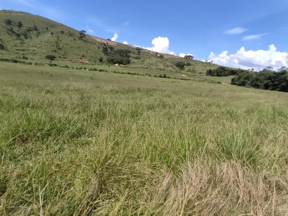 Fazenda, 200 m² - Foto 3