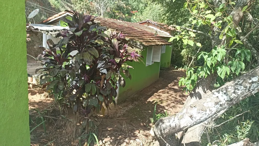 Sítio, 3 quartos, 7 hectares - Foto 4