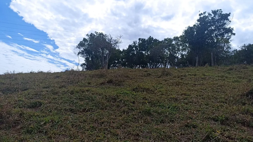 Sítio, 3 quartos, 7 hectares - Foto 7