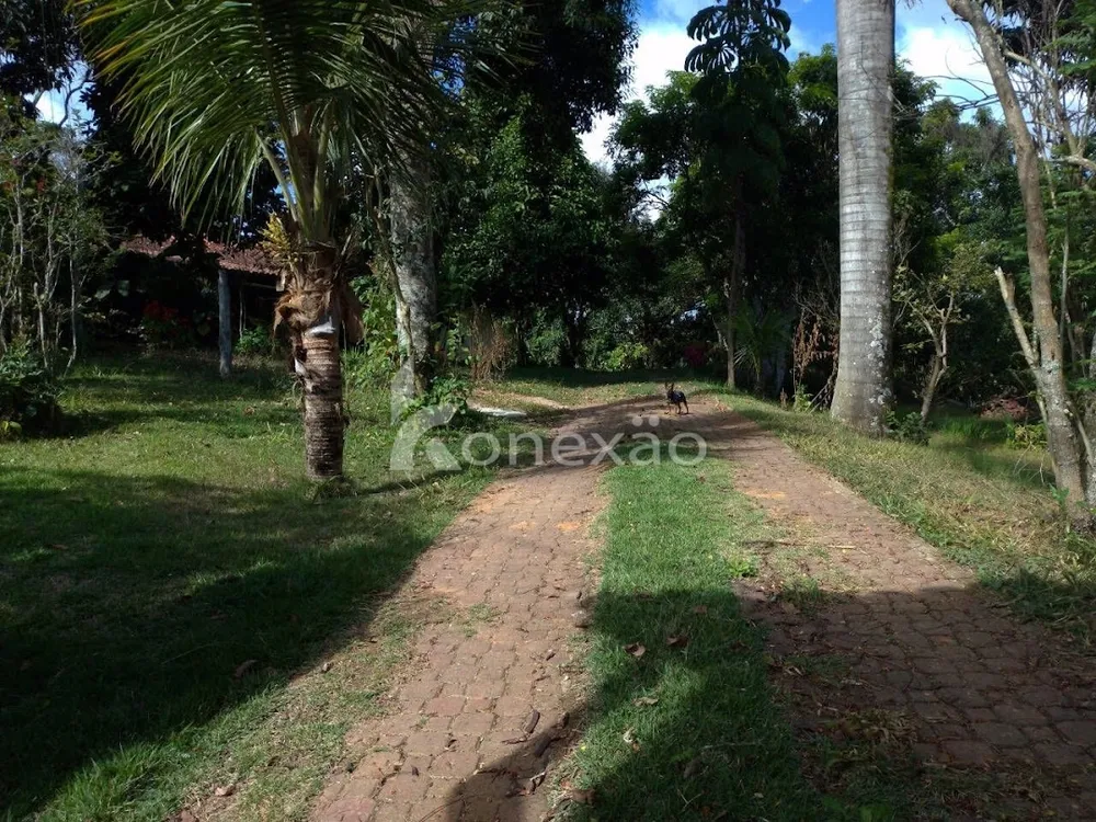 Chácara, 5 quartos, 10000 m² - Foto 4