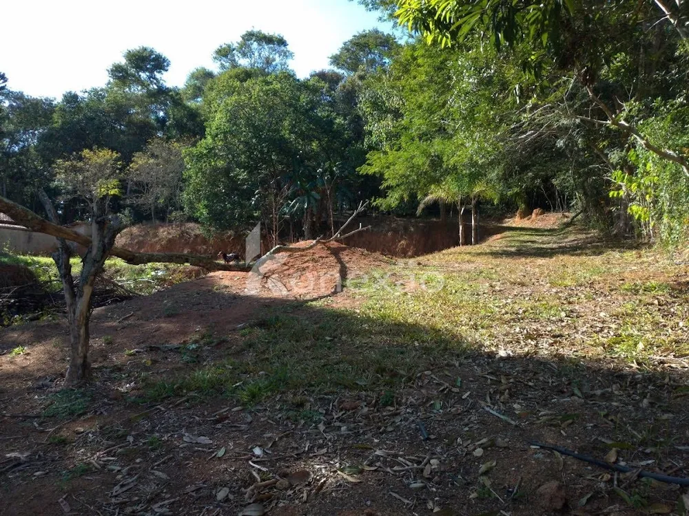 Chácara, 5 quartos, 10000 m² - Foto 6