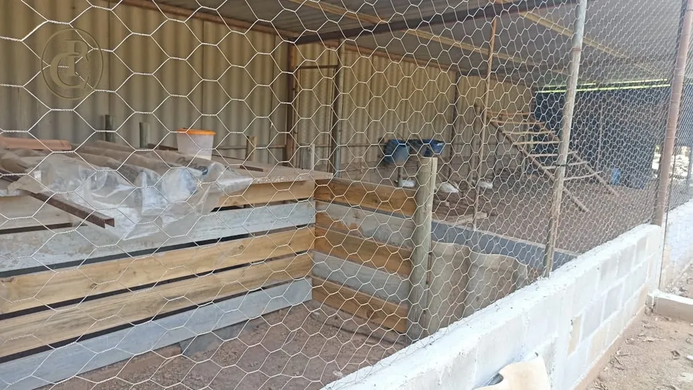 Chácara, 3 quartos, 350 m² - Foto 6