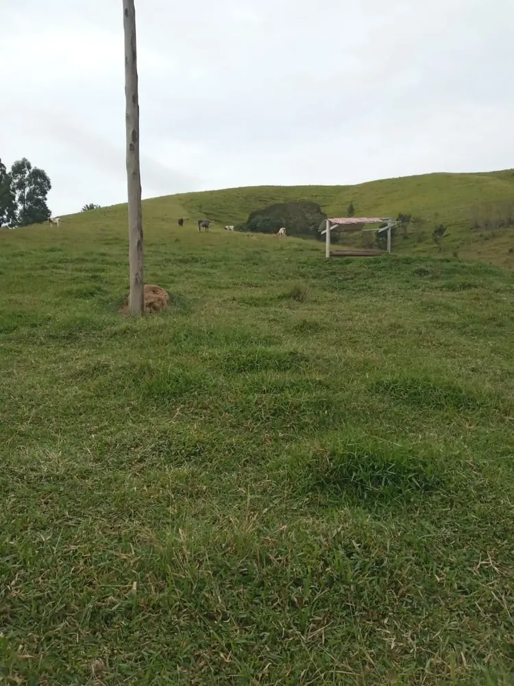 Terreno, 200 m² - Foto 3