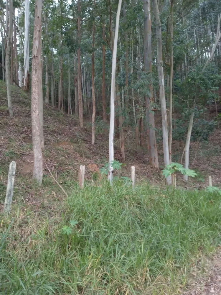 Terreno, 200 m² - Foto 10