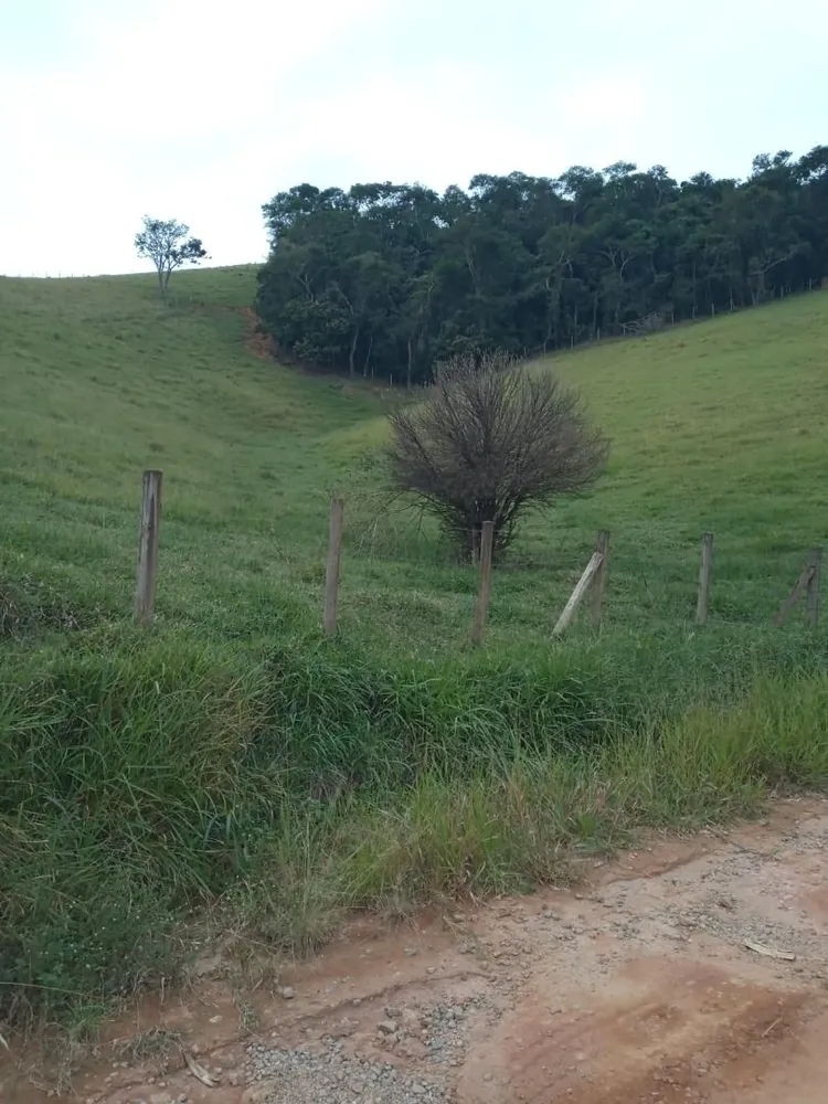Terreno, 200 m² - Foto 2