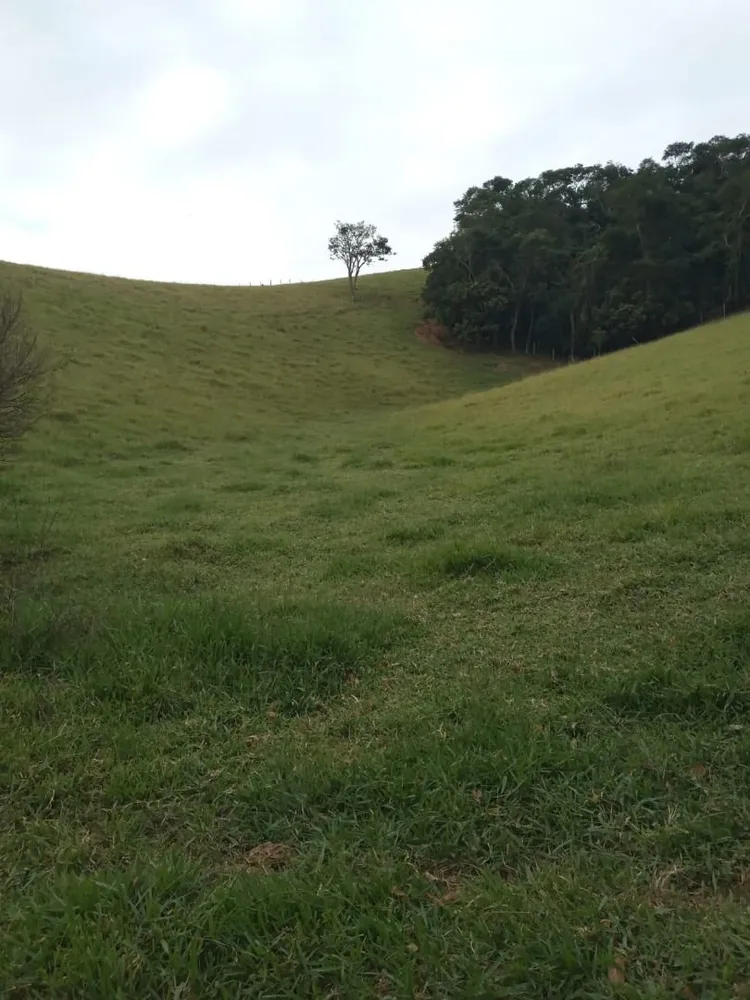 Terreno, 200 m² - Foto 6