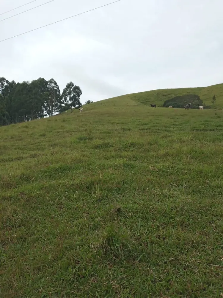 Terreno, 200 m² - Foto 7