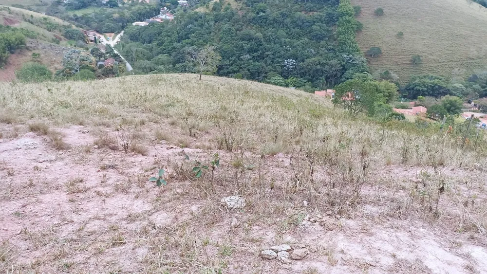 Sítio, 2 quartos, 250 m² - Foto 4