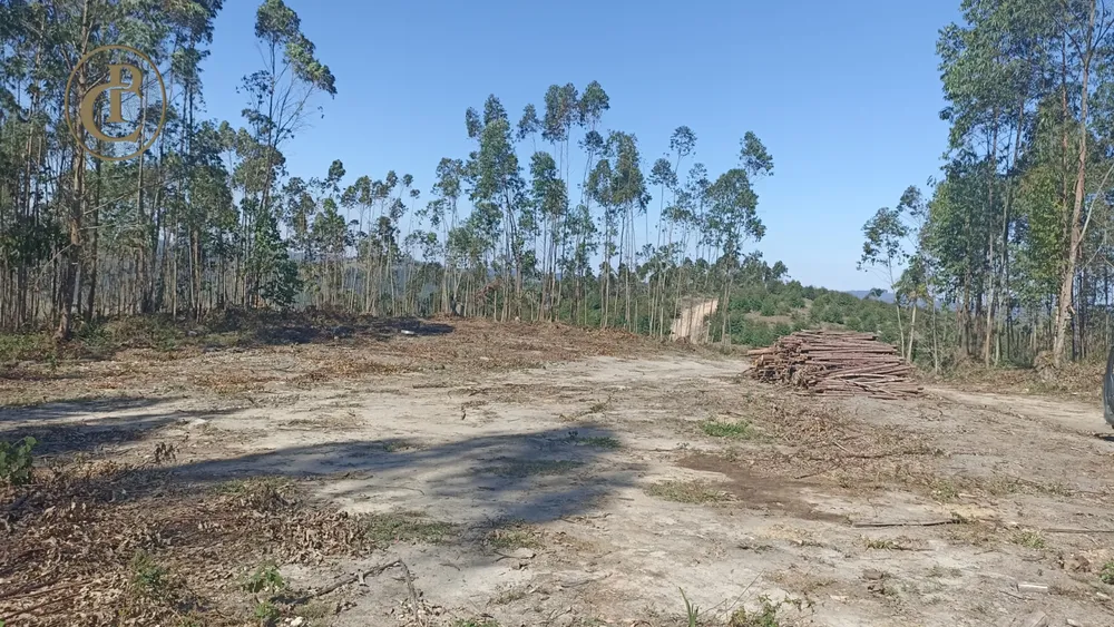 Fazenda, 300 m² - Foto 1